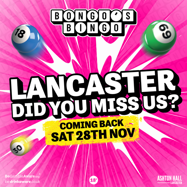 bongo's bingo LTH